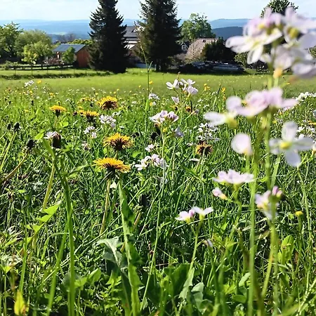 Saalfeld - Sommerfrische Burkersdorf