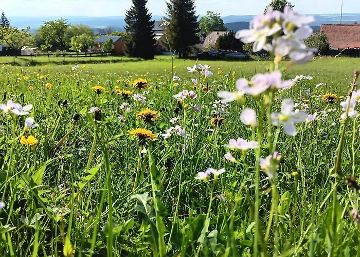 Saalfeld - Sommerfrische Burkersdorf